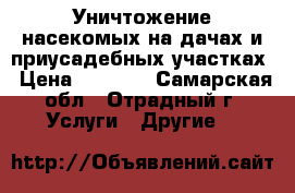 Уничтожение насекомых на дачах и приусадебных участках › Цена ­ 1 000 - Самарская обл., Отрадный г. Услуги » Другие   